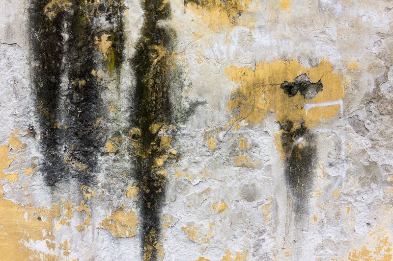 Coulures sombres sur un mur exposé au ruissellement